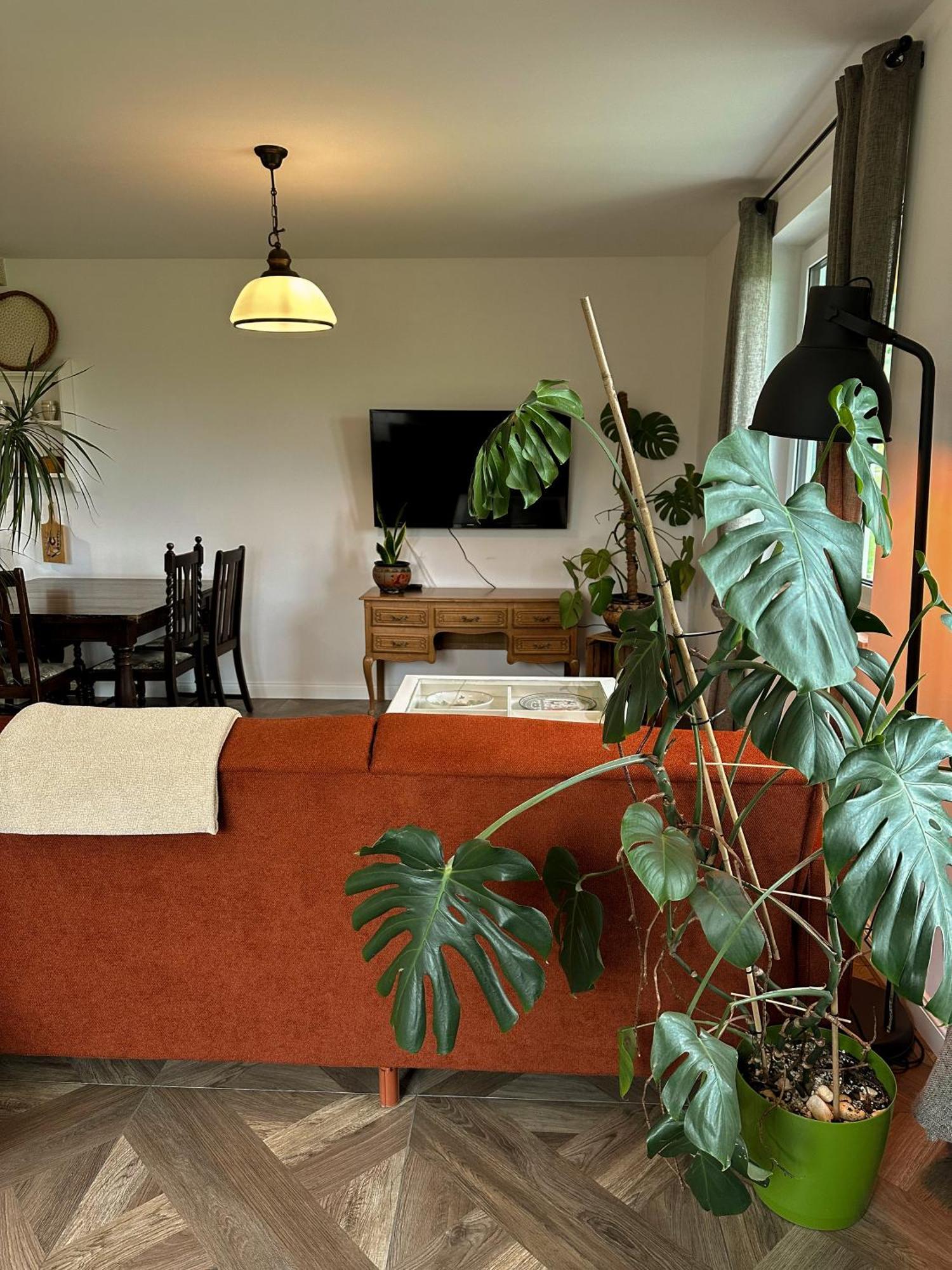 Lawendowy Raj Appartement Pilchowice Buitenkant foto